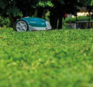 ambrogio robot mower l30b cutting grass